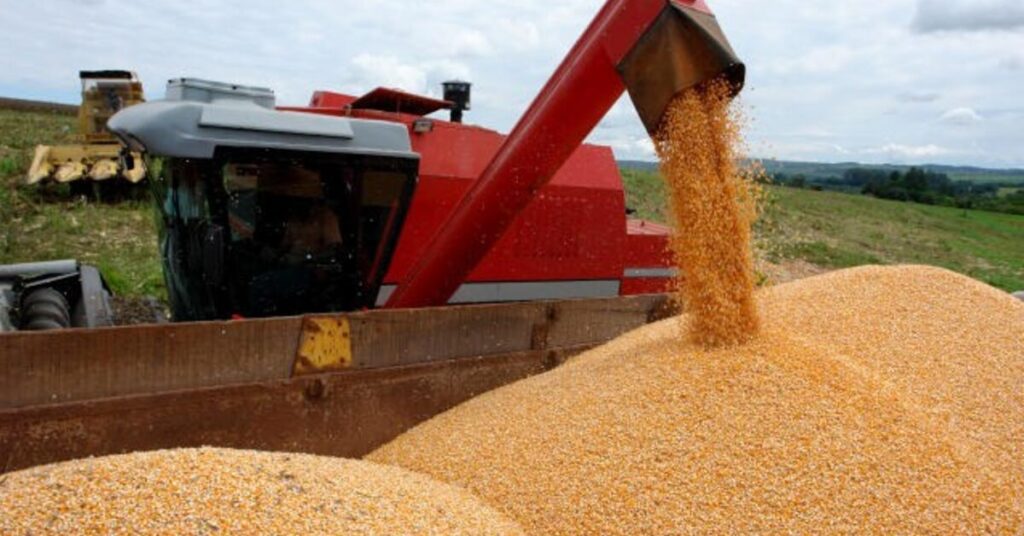 com agentes retraidos ritmo de negocios com milho e lento portal dbo