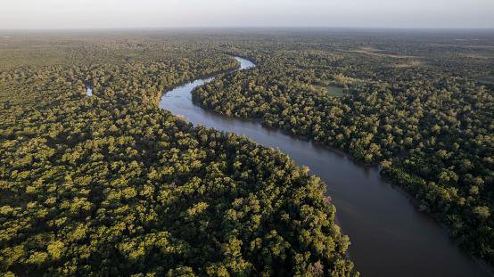 como sao o clima e a vegetacao na floresta amazonica 1
