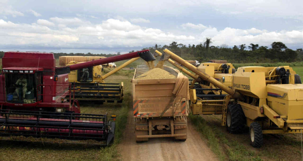 Confira as cinco categorias abordadas no Agro Times - Money Times 2 Serasa