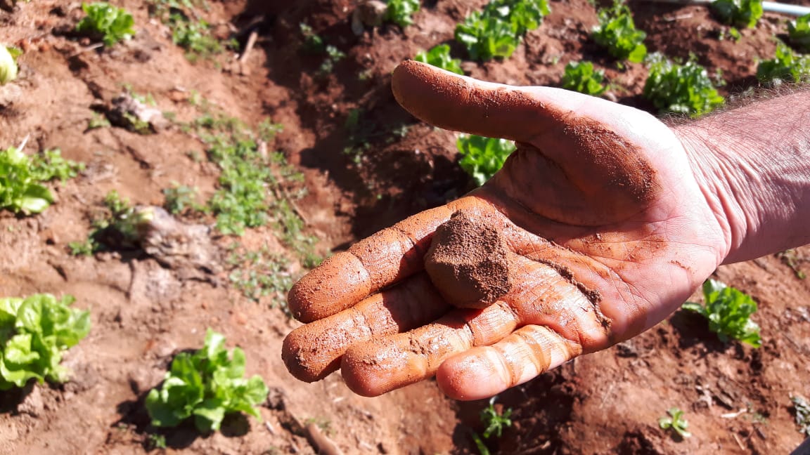 Contribuição da avaliação participativa da qualidade do solo para a sustentabilidade na agropecuária