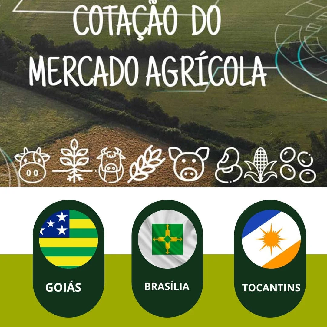 Cotação Agrícolas Estadual ( GO / BR / TO ) Atualizado