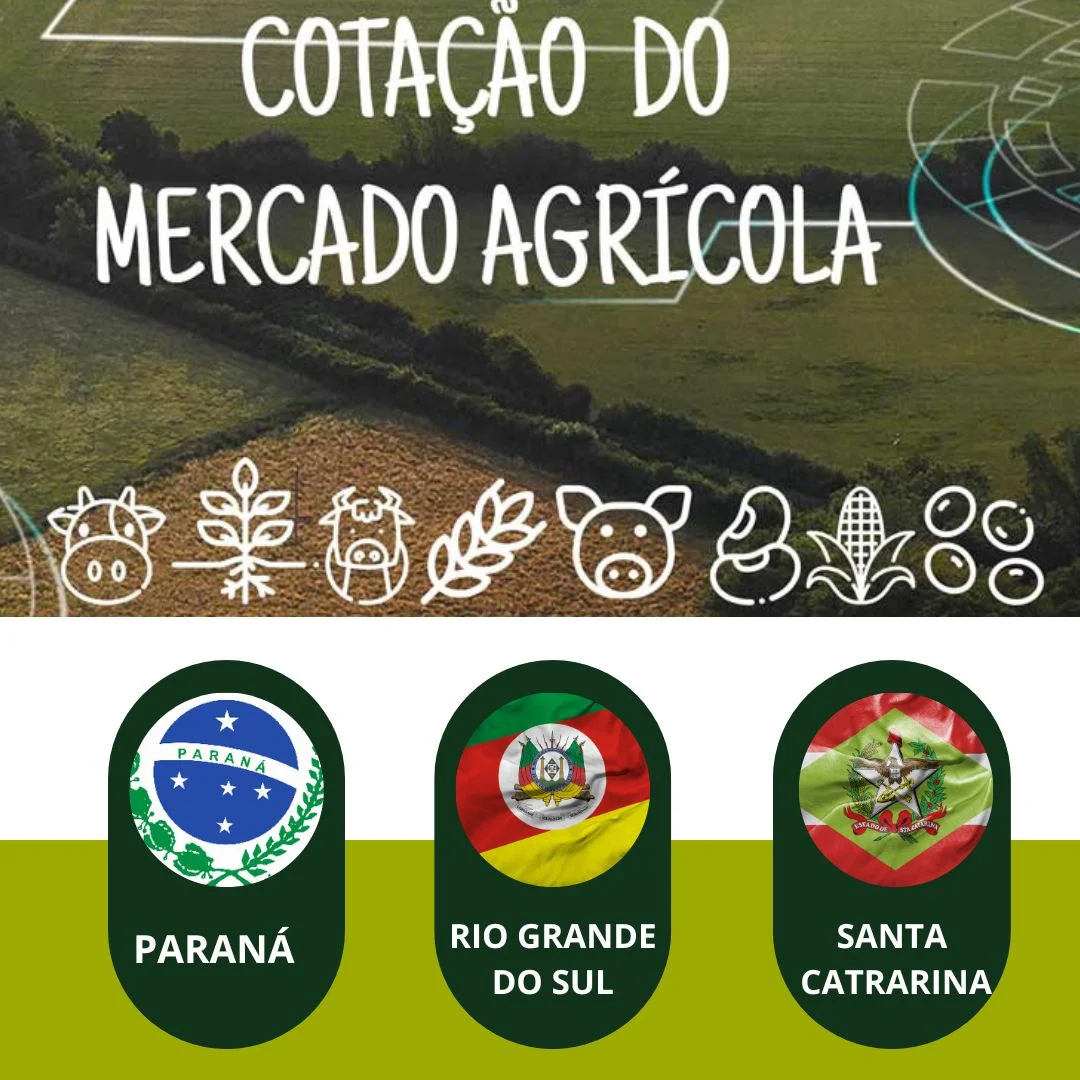Cotação Agrícolas  Estadual ( RS / PR / SC) Atualizado