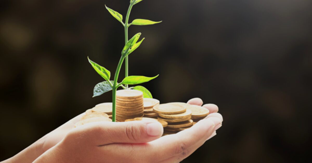 Cresol libera mais de R$ 1,4 bi a produtores • Portal DBO 1 Cresol libera mais de R$ 1,4 bi a produtores • Portal DBO