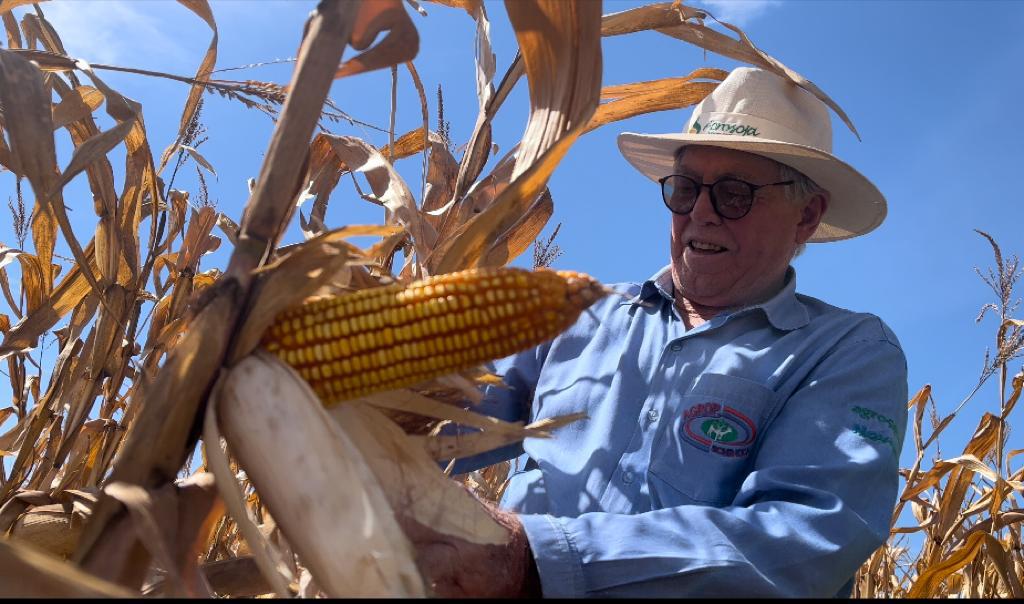 da terra ao plantio a vocacao que prospera desde a colheita