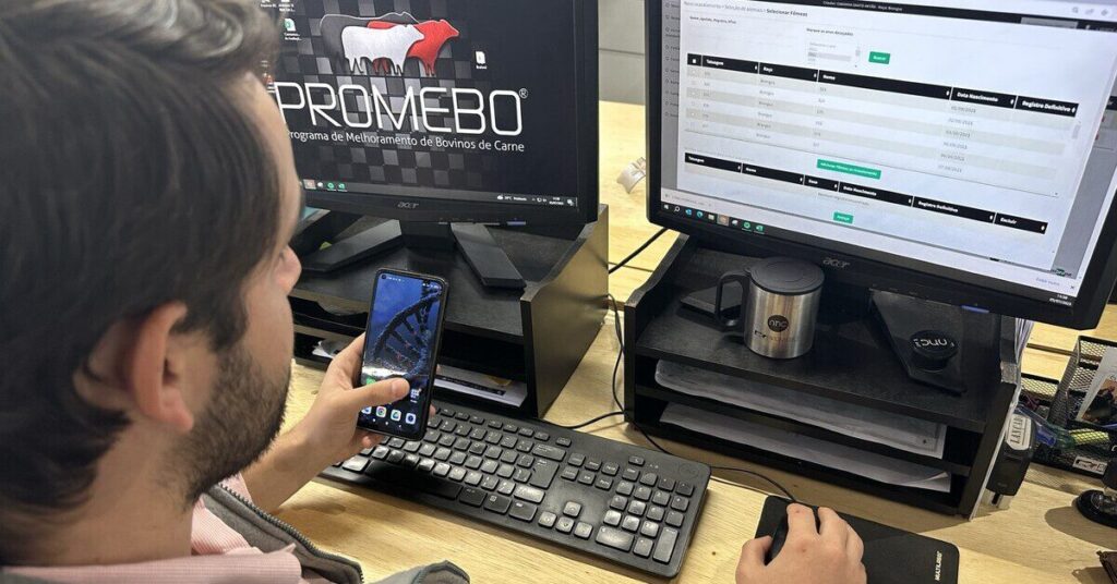 desenvolvido em parceria com a embrapa anc lanca ferramenta de acasalamento portal dbo