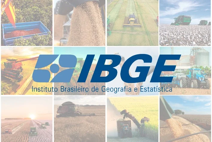 Em junho, IBGE prevê safra de 307,3 milhões de toneladas para 2023 9 em junho ibge preve safra de 3073 milhoes de toneladas para 2023