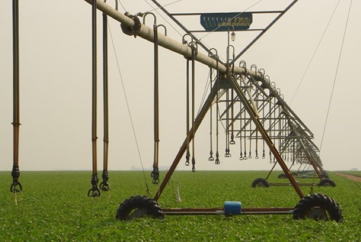 Embrapa apresenta nova variedade de feijão durante evento no PAD-DF