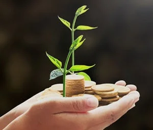 Estoques de LCA cresce 62% a R$404,4 bi; novo Plano Safra busca incentivar... 2 estoques de lca cresce 62 a r4044 bi novo plano safra busca incentivar