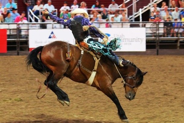 Etapa da Liga Nacional de Rodeios será realizada no interior de Minas