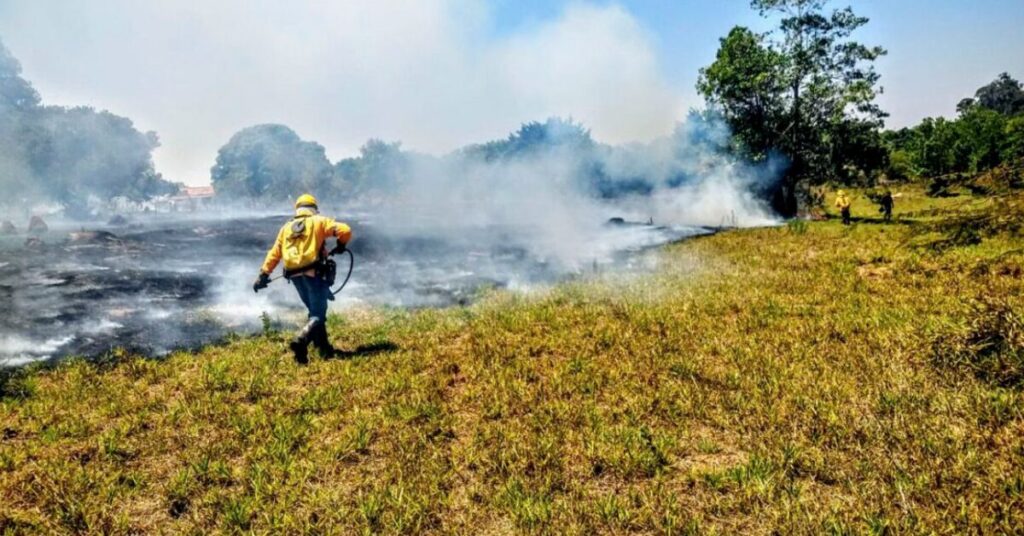 Falta de chuva provoca suspensão da queima controlada e estado de emergência ambiental em MS • Portal DBO