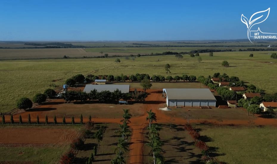 fazenda em mt e destaque na pecuaria sustentavel com rotacao de pastagens e integracao