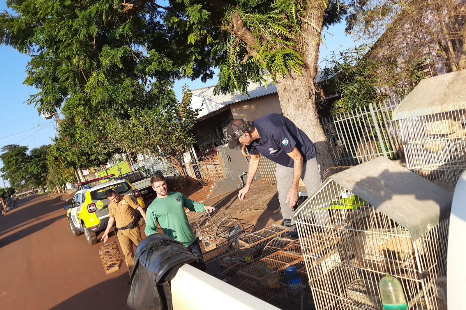 fechamento de local clandestino de cativeiro de aves silvestres e registrado no parana