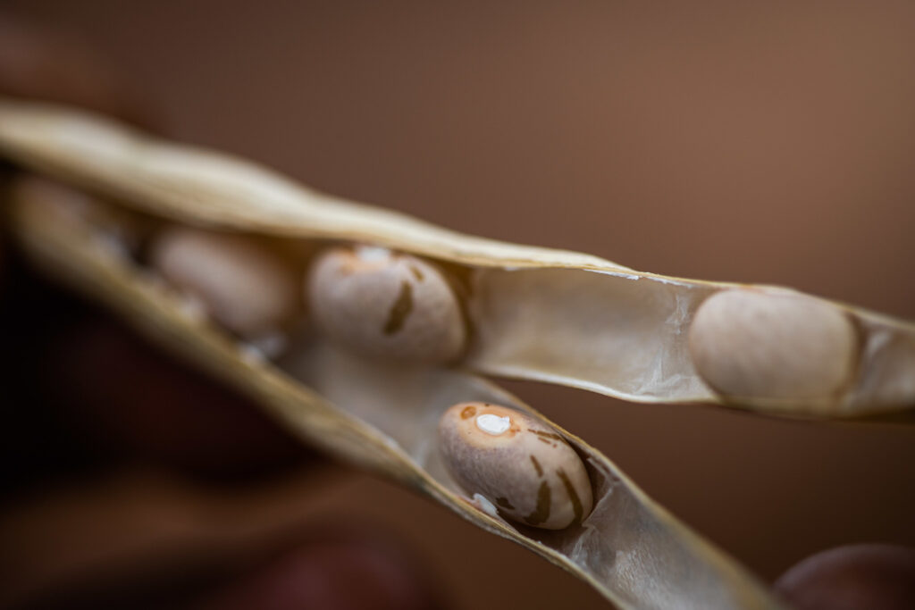 feijao por ibrafe apos impasse carioca volta a r 240 1