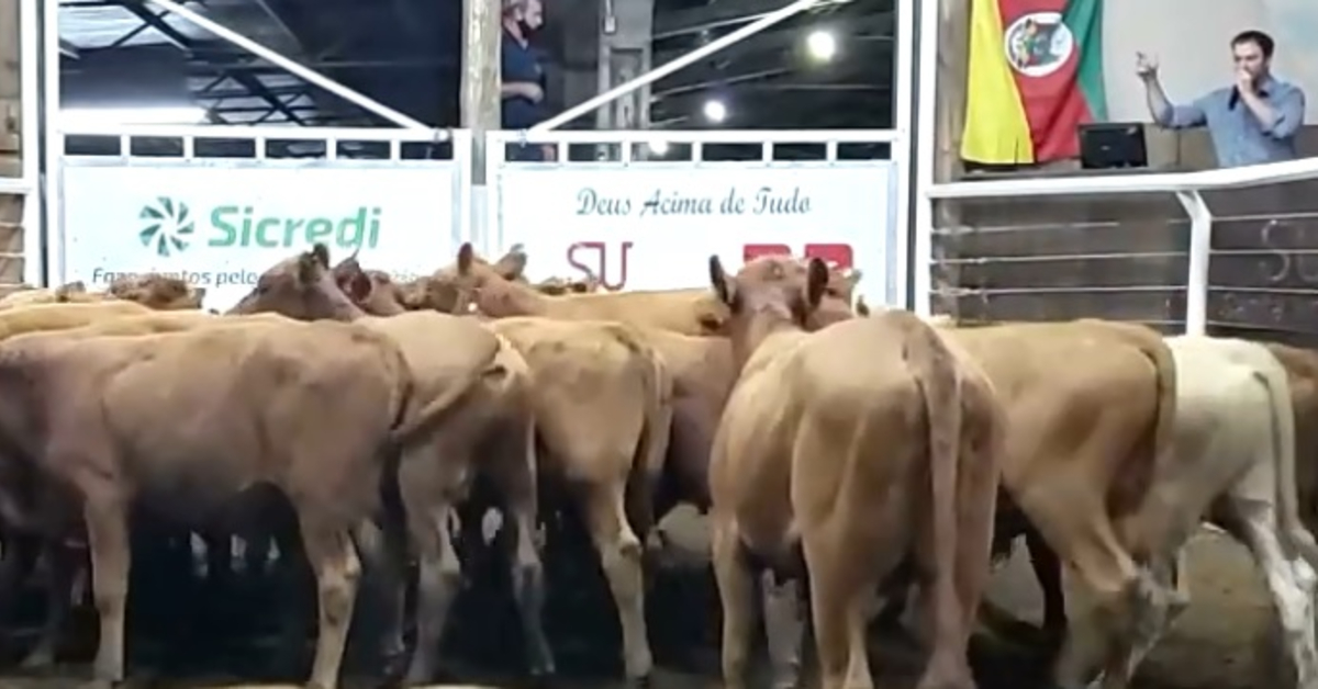 Glorinha registra média geral de R$ 1.690, de acordo com o Portal DBO 1 Glorinha registra média geral de R$ 1.690, de acordo com o Portal DBO