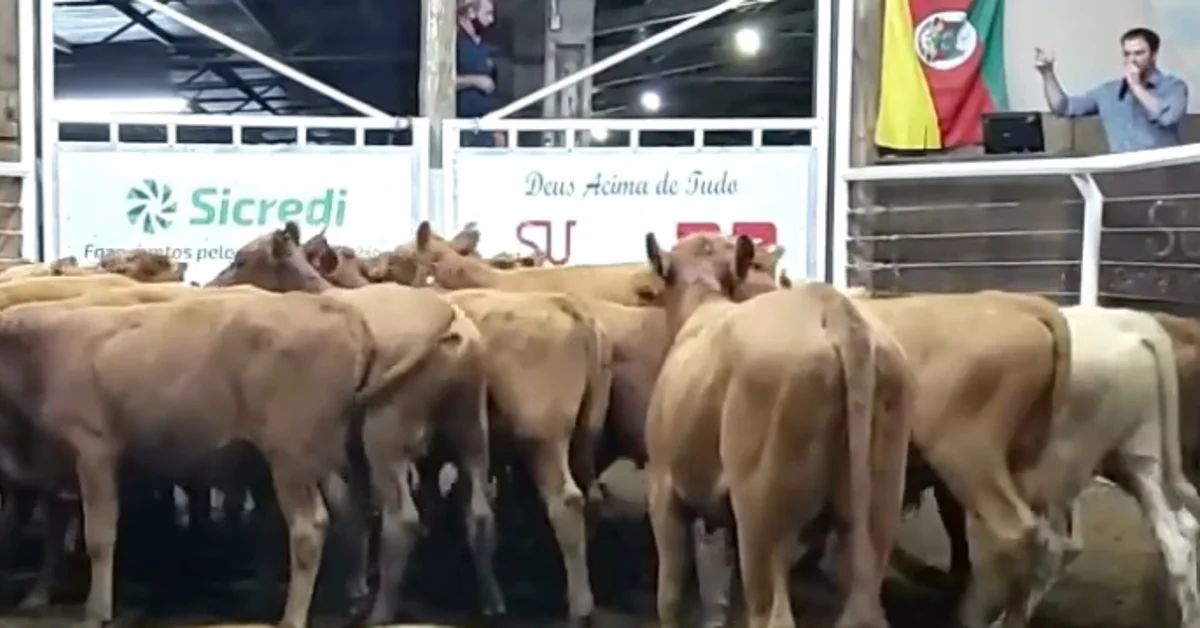 glorinha registra media geral de r 1 690 de acordo com o portal dbo