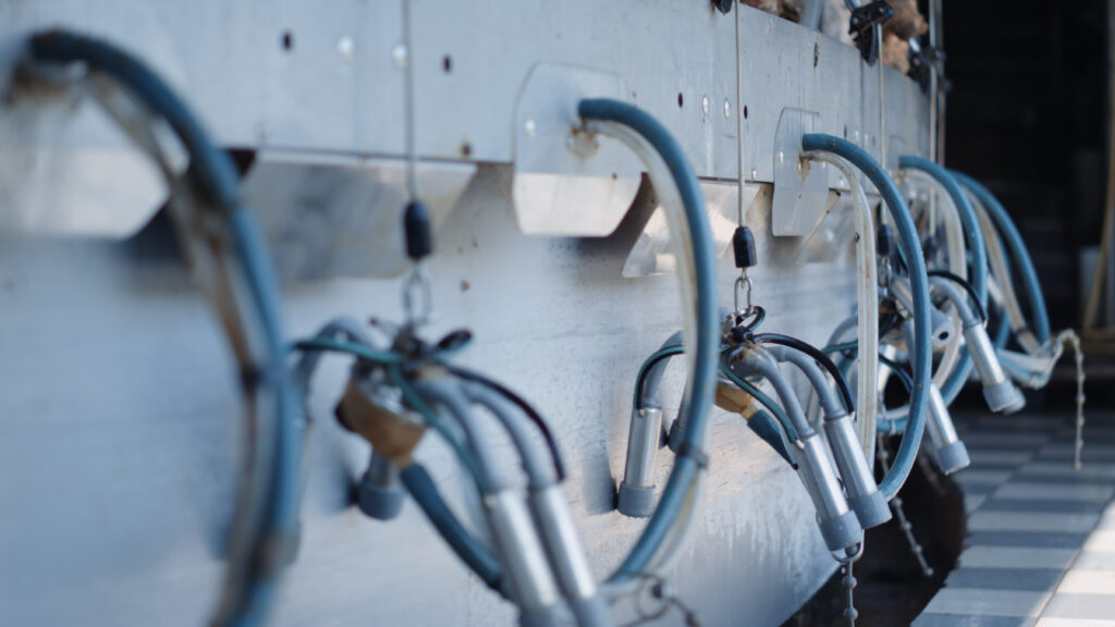 Governo apresenta planos para fortalecer a indústria leiteira frente às importações em excesso