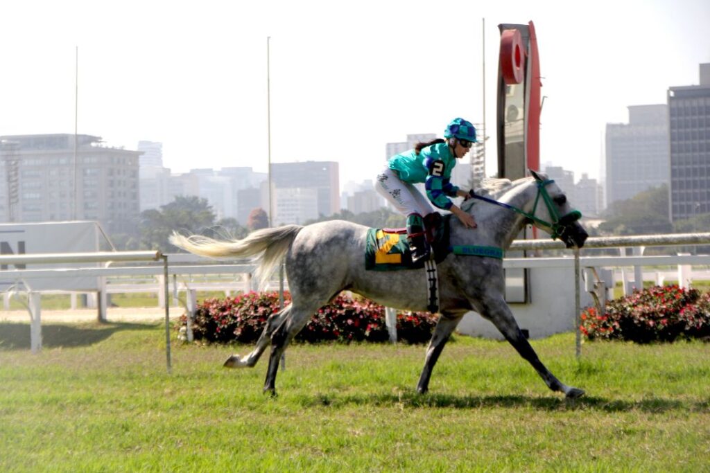 GPs Wathba Stallions Cup for Colts e Fillies II destacam VG Raj Al Mared e Normandia Rach 2 gps wathba stallions cup for colts e fillies ii destacam vg raj al mared e normandia rach
