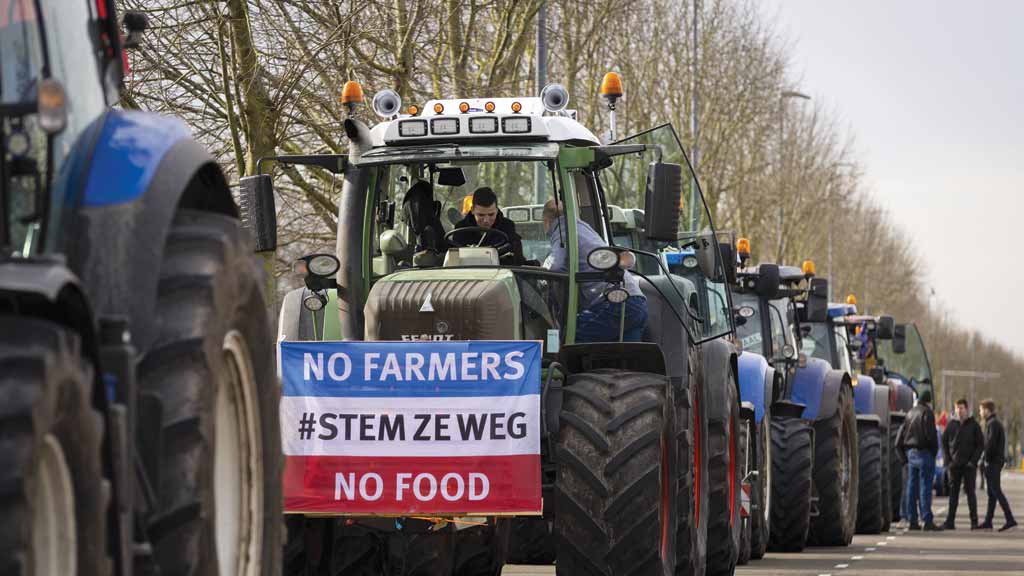 Holanda planeja encerrar a operação de fazendas
