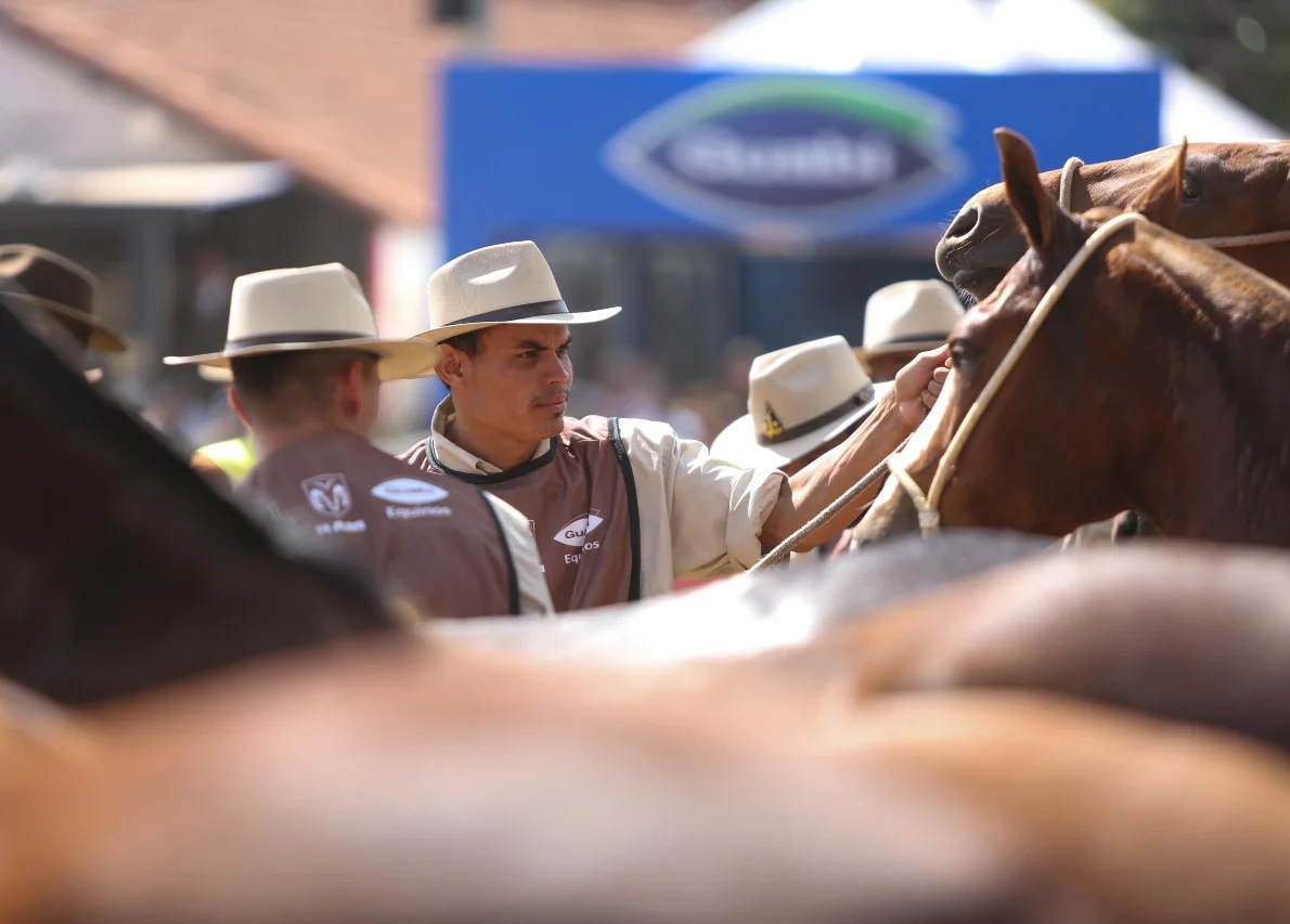 importancia da alimentacao adequada para provas de longa duracao comprerural