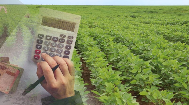 indice de precos ao produtor recua 22 em junho diz cepea