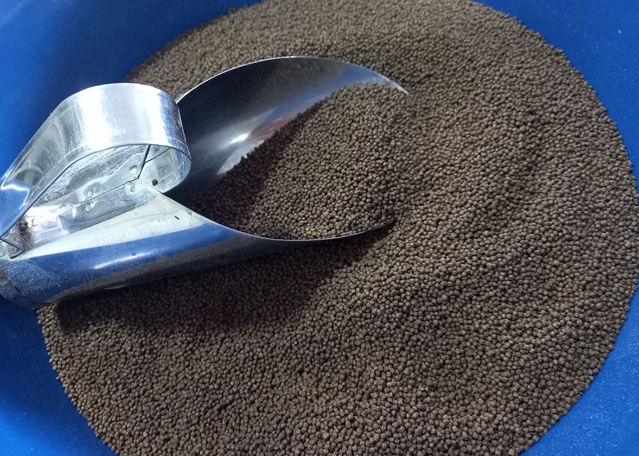 levedura e opcao economica e sustentavel para a alimentacao de