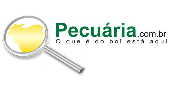 lula busca apoio do setor agropecuario para o novo decreto de armas 2