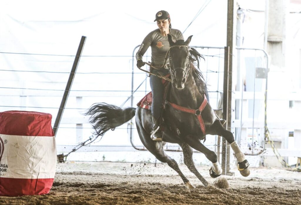 Mercado de equinos movimenta R$ 30 bi ao ano no Brasil, segundo estudo