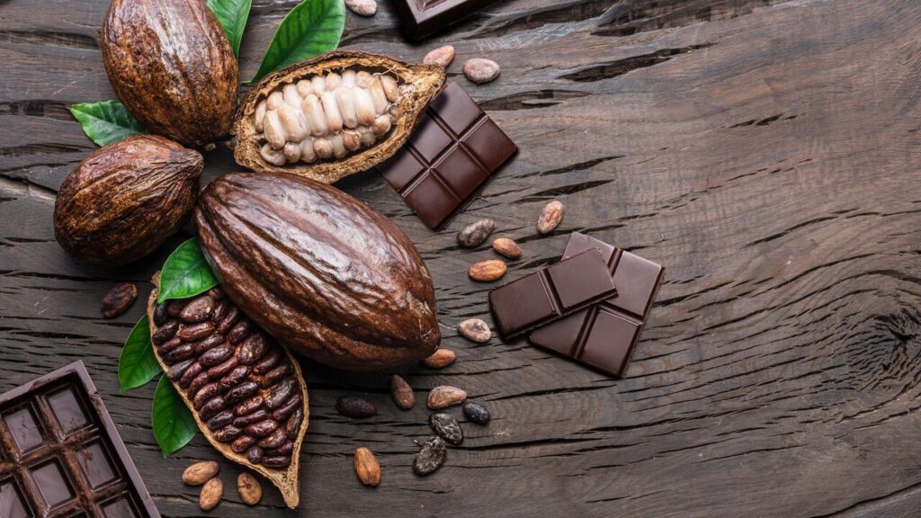 No dia mundial do chocolate, o agro brasileiro se destaca na produção de cacau 2 no dia mundial do chocolate o agro brasileiro se destaca na producao de cacau