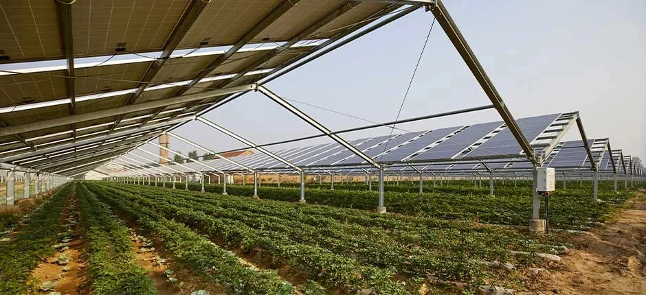 o papel da energia solar no aumento da producao agricola