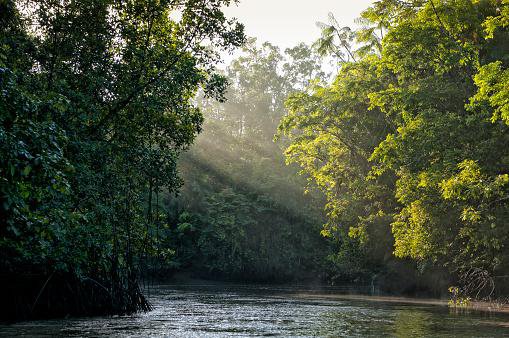 o que e ecossistema e quais sao os principais no brasil