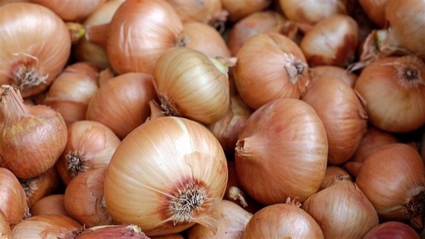 oferta do cerrado deve aumentar 1