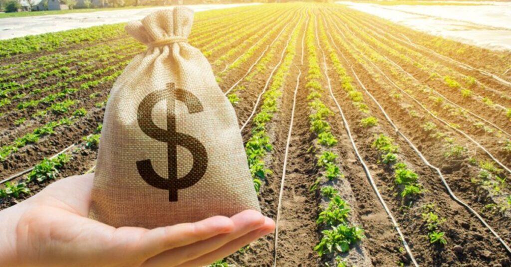 OUÇA 🎧 | Crédito rural, um dinheiro quase um direito • Portal DBO 2 ouca f09f8ea7 credito rural um dinheiro quase um direito portal dbo 2