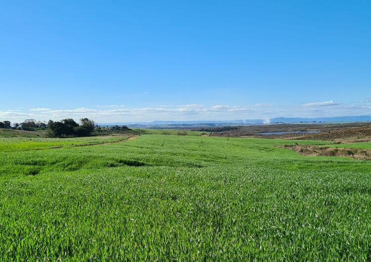 Período atípico: inverno com temperaturas elevadas no Paraná 3 Período atípico: inverno com temperaturas elevadas no Paraná