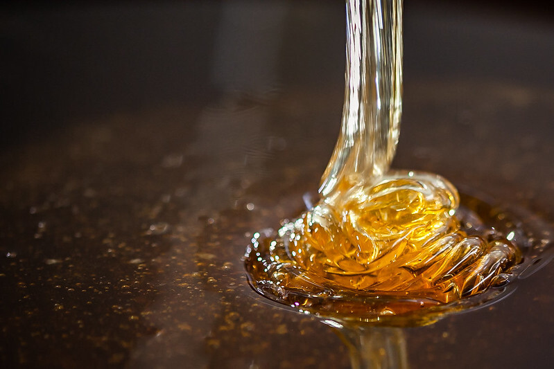 pesquisadores debatem perspectivas da meliponicultura no brasil 1