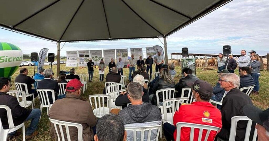 pesquisadores incentivam alternativas de alimentacao para o gado de corte em paranavai portal dbo