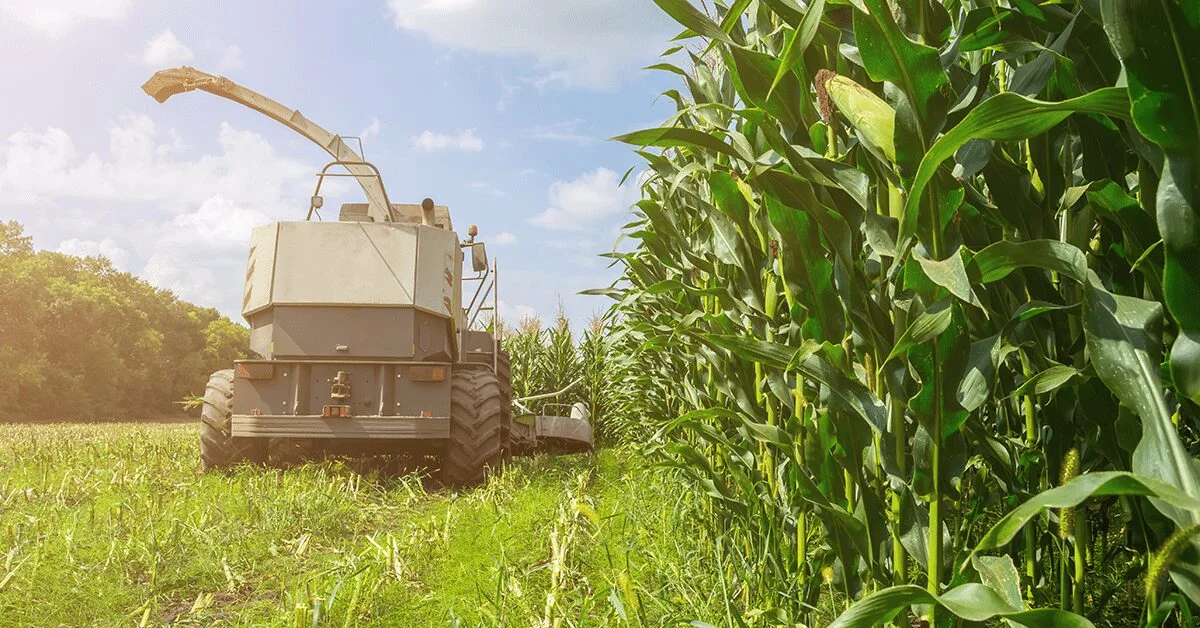 Alta externa: preço elevado no Brasil? • Portal DBO 1 portal dbo a colheita esta avancando em todos os estados porem os negocios estao em ritmo lento 1
