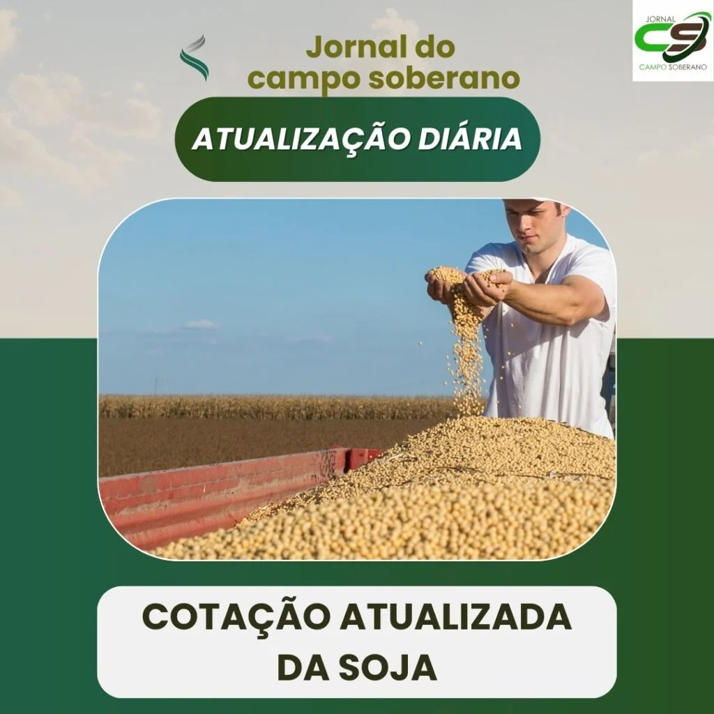 Preço da Soja Atualizado