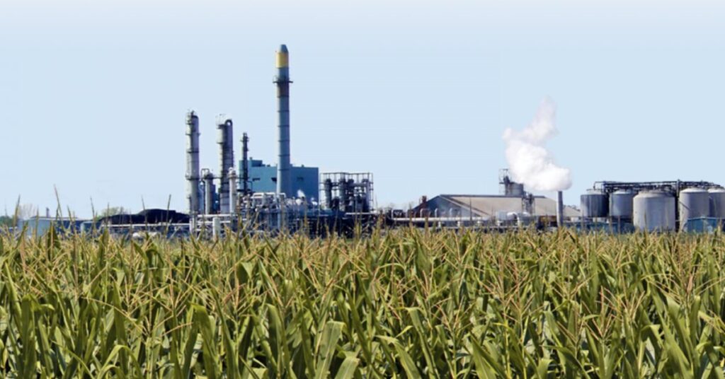 producao agroindustrial tem alta de 06 em maio ante maio de 2022 diz fgvagro portal dbo