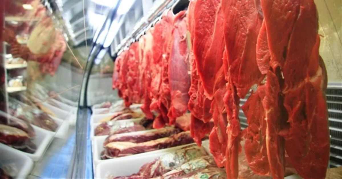 Produção de carnes em 2023: estimativa indica ultrapassagem dos 29 milhões de toneladas, de acordo com o Portal DBO. 2 exportações do Brasil