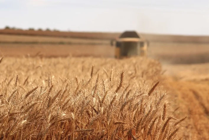 Produção de grãos da safra de 2023 na Ucrânia atinge 11,2 milhões de toneladas 1 producao de graos da safra de 2023 na ucrania atinge 112 milhoes de toneladas