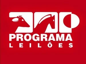 programaleiloes-640x480-2-300x225