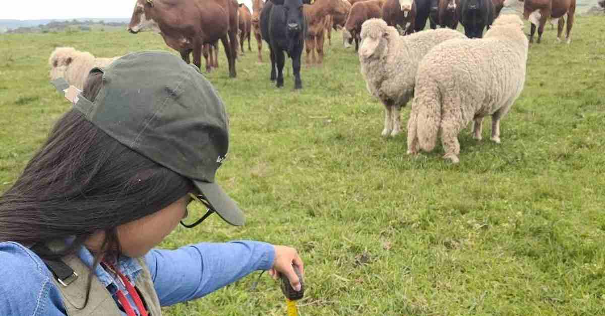 projeto de recuperacao de areas degradadas avanca no rio grande do sul portal dbo