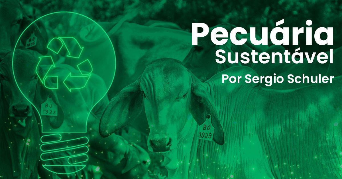 Qual é o papel transformador do crédito de carbono e da integração lavoura-pecuária-floresta (ILPF) sobre as mudanças climáticas?