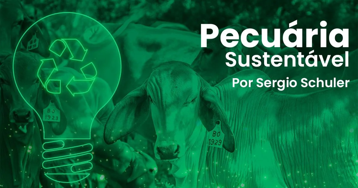 Qual é o papel transformador do crédito de carbono e da integração lavoura-pecuária-floresta (ILPF) sobre as mudanças climáticas? 2 qual e o papel transformador do credito de carbono e da integracao lavoura pecuaria floresta ilpf sobre as mudancas climaticas 2
