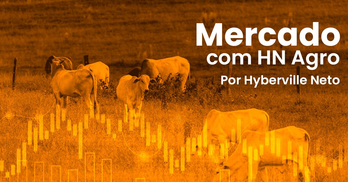 Qual é o principal assunto discutido no artigo “A vaca e o frango”?