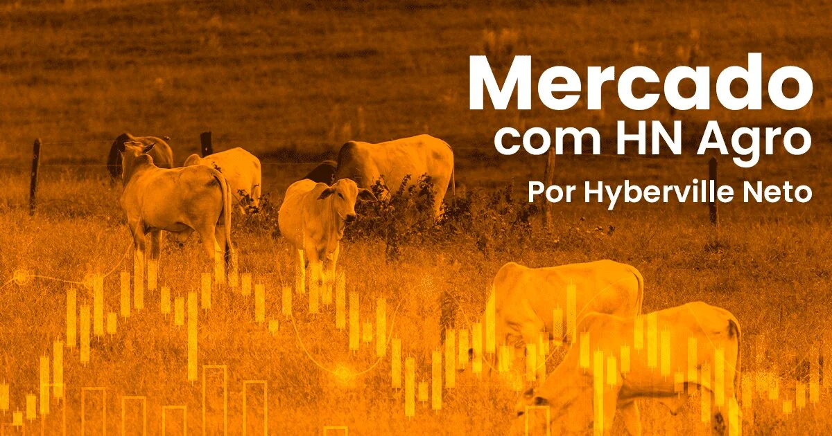 Qual é o tema principal do artigo "Estação de monta ao som dos canhões" no Portal DBO? 4 qual e o tema principal do artigo estacao de monta ao som dos canhoes no portal dbo 2