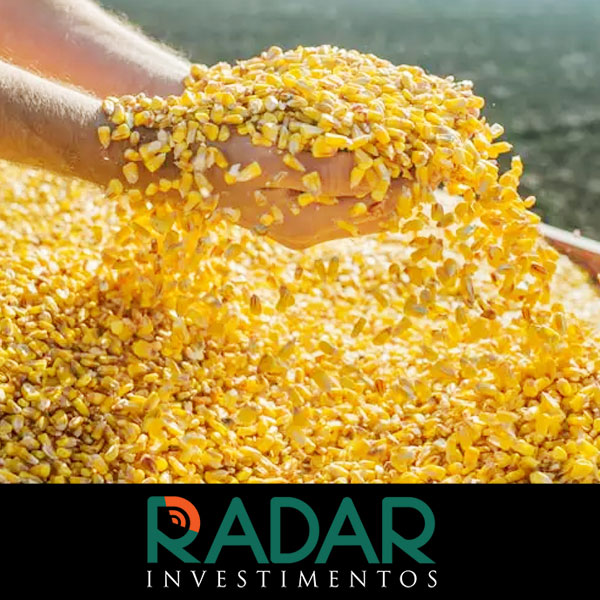 Radar Investimentos: Negociações para exportação de milho vêm ocorrendo em... 1 Radar Investimentos: Negociações para exportação de milho vêm ocorrendo em…