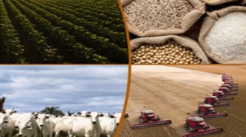 Safra brasileira de grãos deve alcançar 390 milhões de t nos próximos 10 anos 18 safra brasileira de graos deve alcancar 390 milhoes de t nos proximos 10 anos