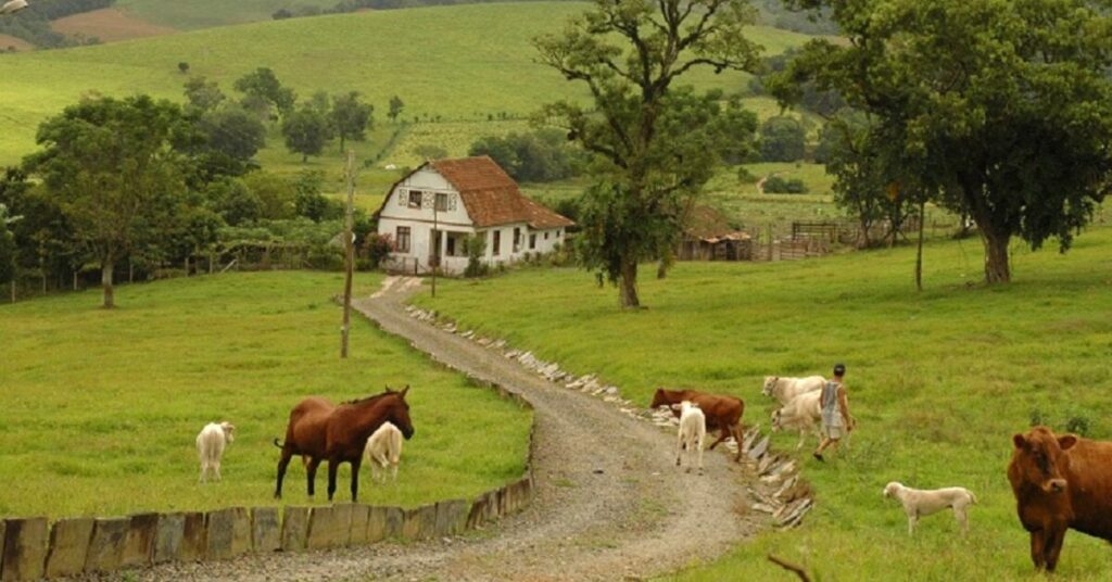 secretaria da receita federal publica orientacoes para declaracao do itr portal dbo