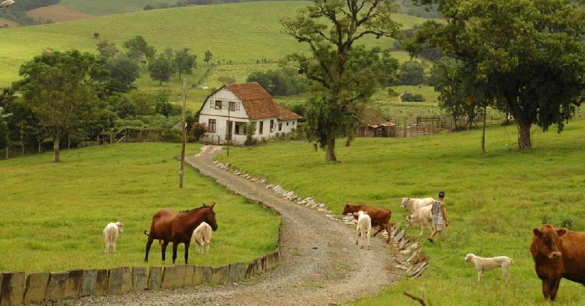 secretaria da receita federal publica orientacoes para declaracao do itr portal dbo